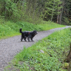 01 Im Mai im Allgäu